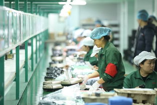 拼多多賦能“拼工廠”，深圳試點透明化生產(chǎn)，麥秸畫傳統(tǒng)工藝觸網(wǎng)新生